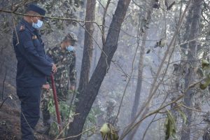 माटिखेल वनमा लागेको आगो सुरक्षाकर्मीको सहयोगमा निभ्यो