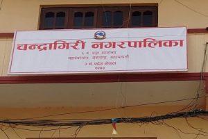 चन्द्रागिरि ६ को मतगणना जारी २०० मत गणना हुँदा प्रारम्भिक अग्रता काँग्रेसले लियो