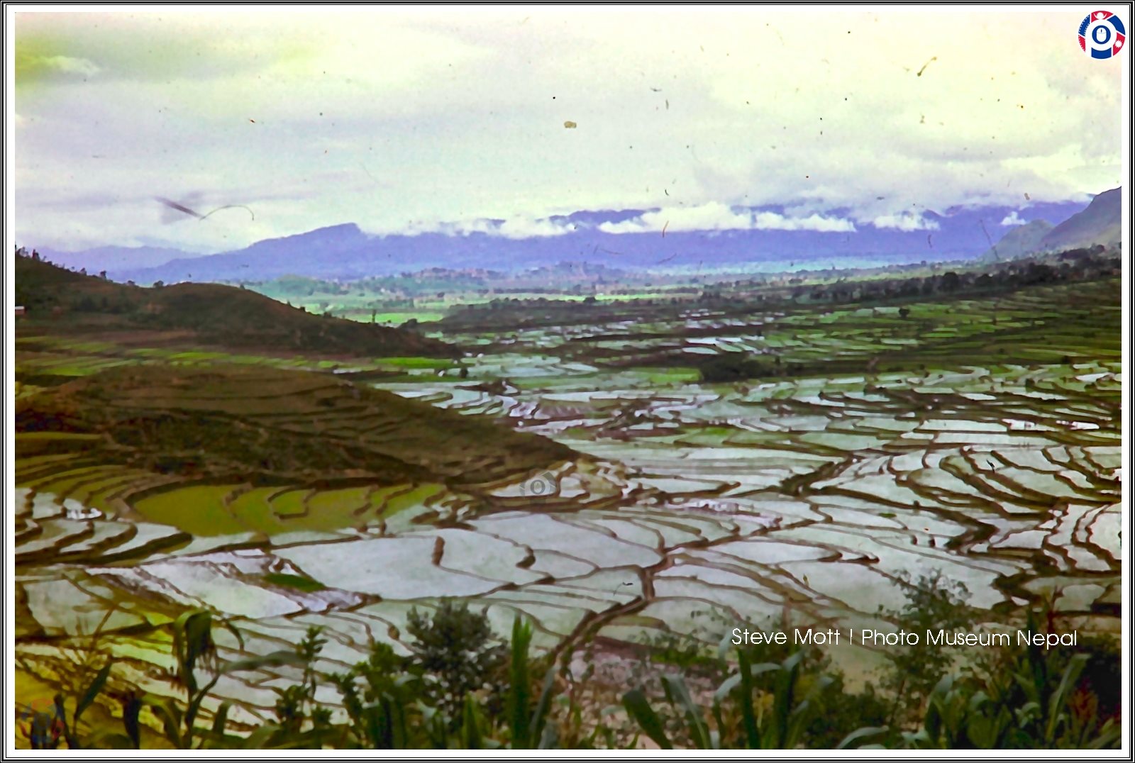 १९औँ राष्ट्रिय धान दिवस मनाइने