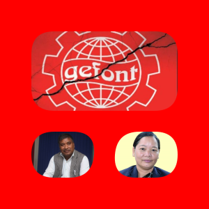 जिफन्टको अध्यक्षमा विनोद श्रेष्ठ, सचिवमा बेलीमाया घले