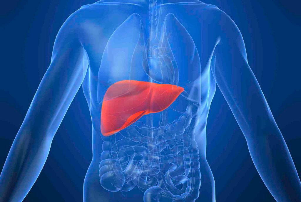 विश्व हेपाटाइटिस दिवस: के हो हेपाटाइटिस, कसरी जोगिनेे?