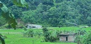 सडक बन्नुअघि नै तयार भयो पुल