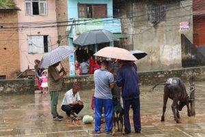 मोहिनी (बडा दशैं) धुमधामसँग मान्ने ‘थानकोटे’को छुट्टै तरिका