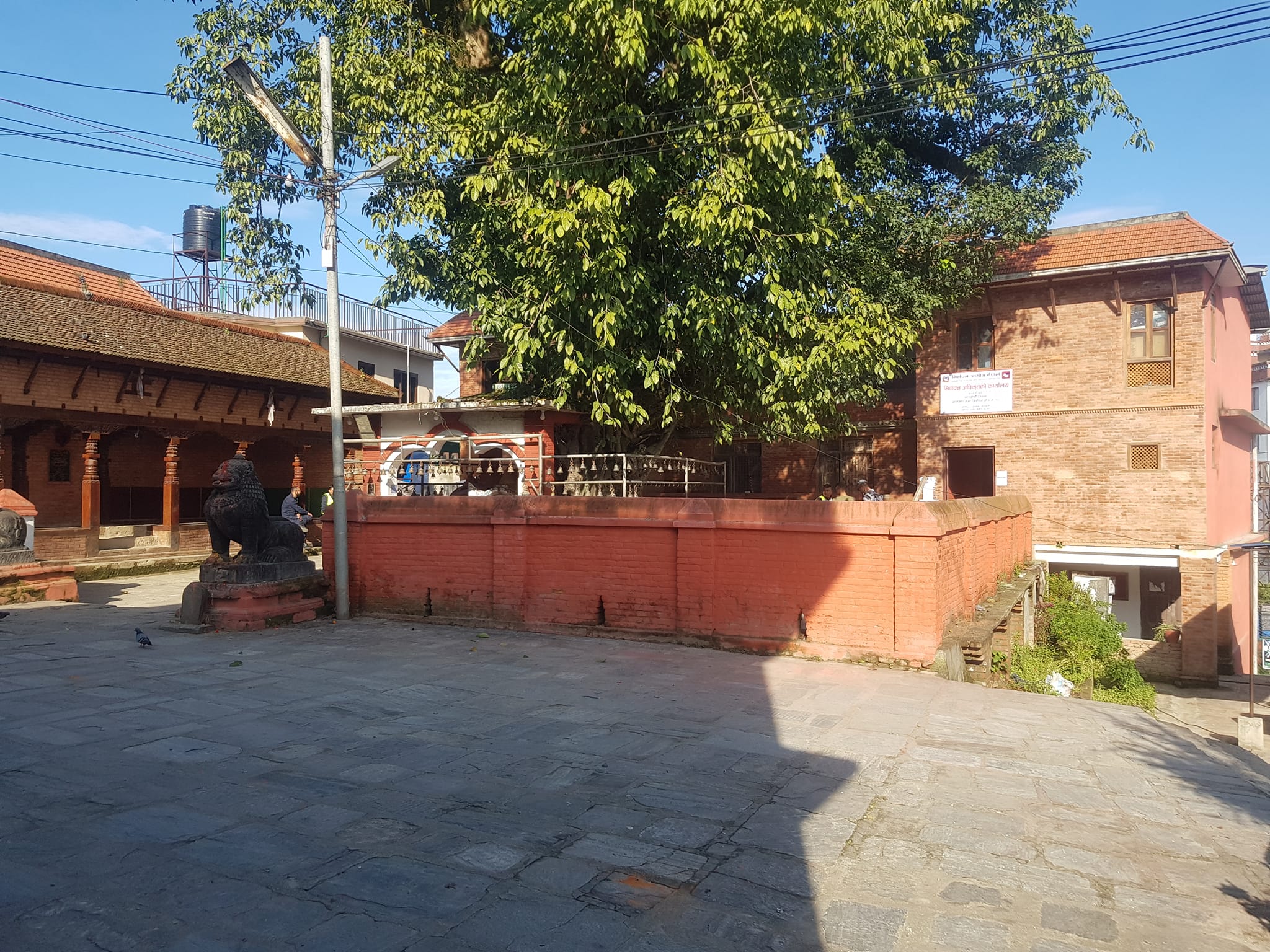 काठमाण्डाै १० क मा माओवादी केन्द्रबाट २ जनाको नाम, काँग्रेसबाट पुकार महर्जन (भिडियोसहित)