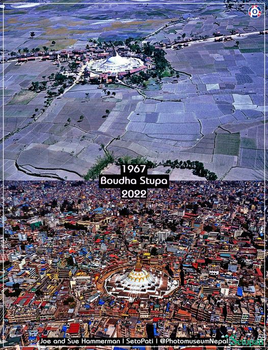 काठमाडौँ महानगरमा भेटिएन कृषियोग्य जमिन, कित्ता काट खुल्यो