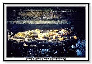 आज हरिबोधिनी एकादशी, तुलसीको विवाह गर्ने दिन