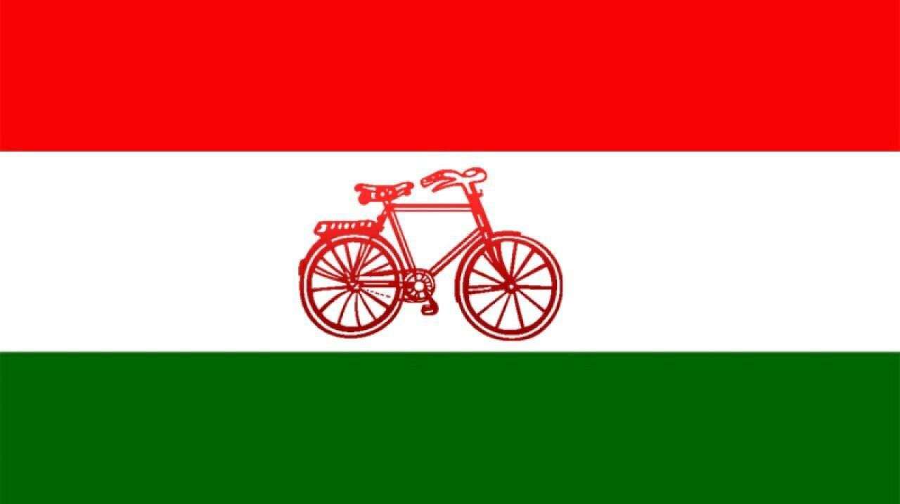 लोसपाको पनि घोषणापत्र सार्वजनिक, संविधान संशोधन अनिवार्य