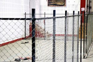 प्रत्यक्ष र समानुपातिकर्फको मत एकैसाथ गणना हुने