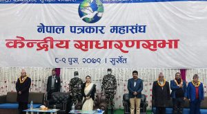१५ बुँदे घोषणापत्र जारी गर्दै सकियाे पत्रकार महासङ्घको साधारणसभा