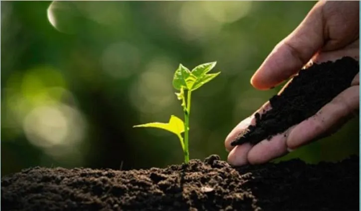 नेपालमा पनि विश्व माटो दिवस मनाइयो