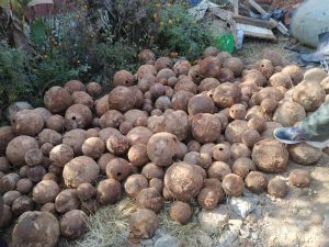 घर बनाउन जग खन्दा भेटिए सयाैं थान तोपका गोला