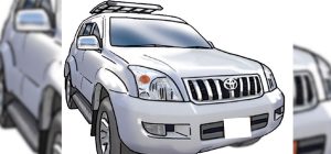 मेयर, उपमेयर तथा कर्मचारीहरूले बिहेदेखि मलामीसम्म सरकारी गाडी लिएर पुग्न थालेपछि…