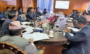 १५ दिनभित्र काठमाण्डाै सडकका खाल्डा पुर्न उपप्रधानमन्त्री श्रेष्ठको निर्देशन