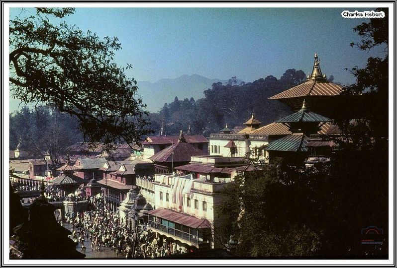 आज महाशिवरात्रि: देशभरका शिवालयमा बिहानैदेखि तीर्थयात्रीको घुइँचो