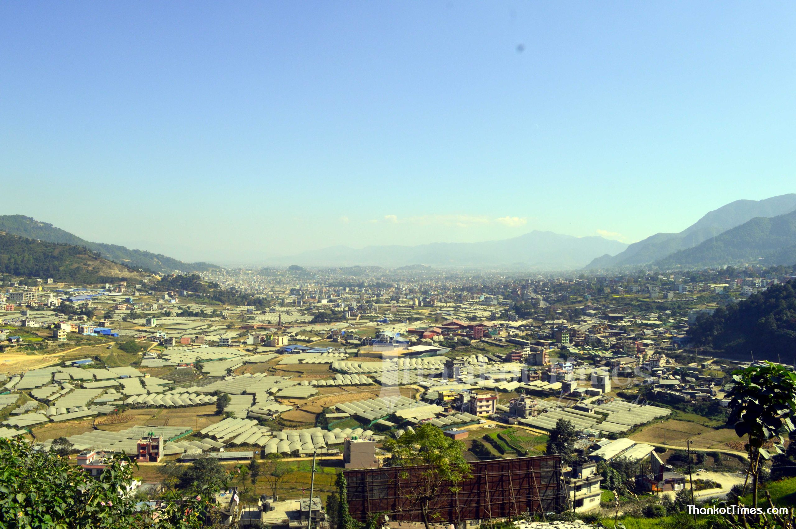 चन्द्रागिरिको तरकारी खेती धान्दै बाहिरी जिल्लाका किसान