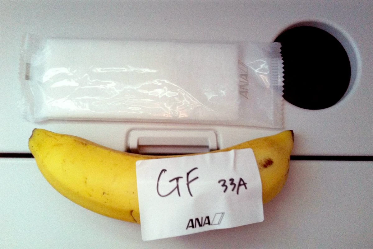 बिजनेस क्लासका यात्रुलाई खानका लागि जम्मा एउटा केरा !