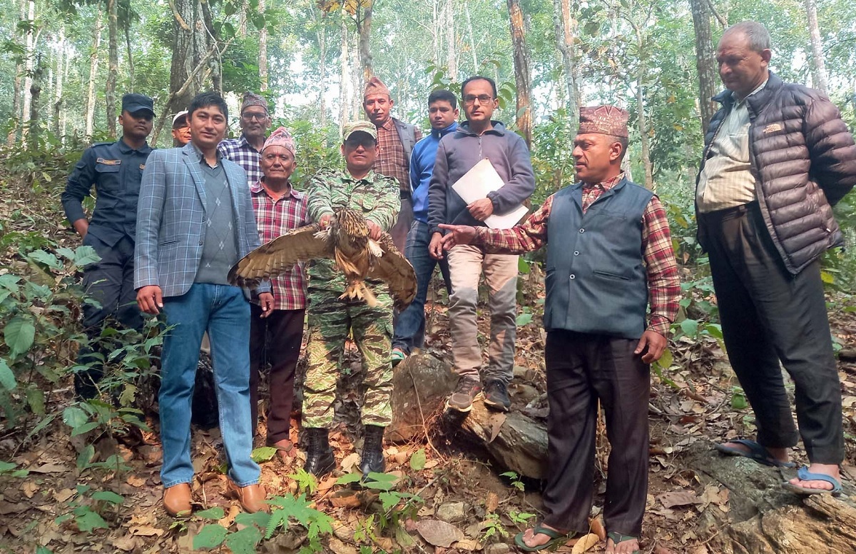 नाैबिसेमा दुई जना युवाले बोकेर हिँडेको हुचिल स्थानीय सामुदायिक वनमा छोडियो
