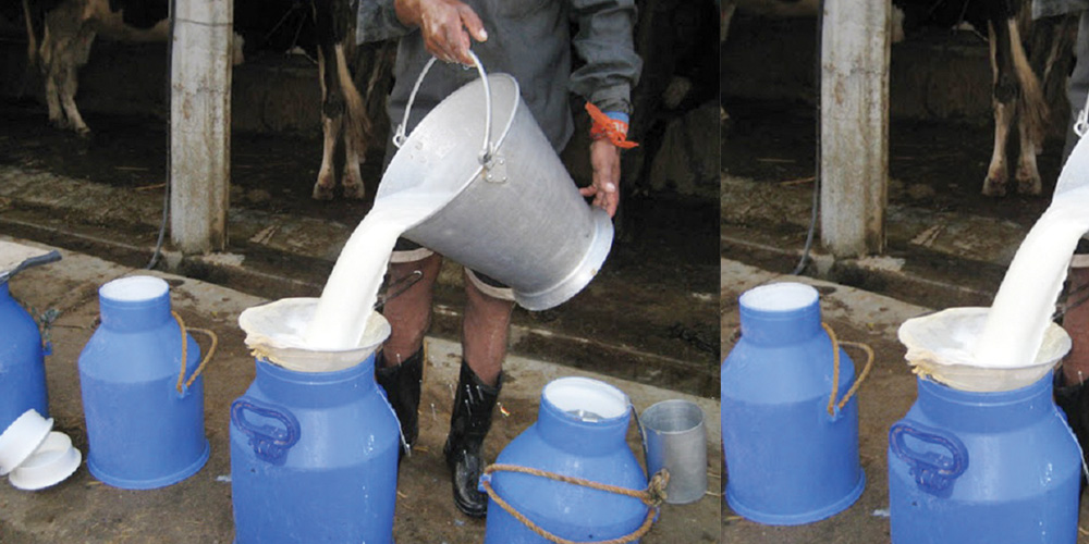 दूधको मूल्य प्रतिलिटर १० रुपैयाँ बढ्यो, किसानले प्रतिलिटर ६५ रुपैयाँ ५० पैसा पाउने