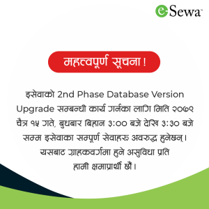 बुधबार आधा घण्टासम्म ईसेवा नचल्ने