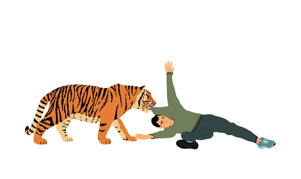 बाघको पुच्छर छुन खोज्दा गयो ज्यान