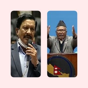 प्रतिनिधि सभाको सार्वजनिक लेखा समितिमा केसी, राज्य व्यवस्था तथा सुशासन समितिमा श्रेष्ठ