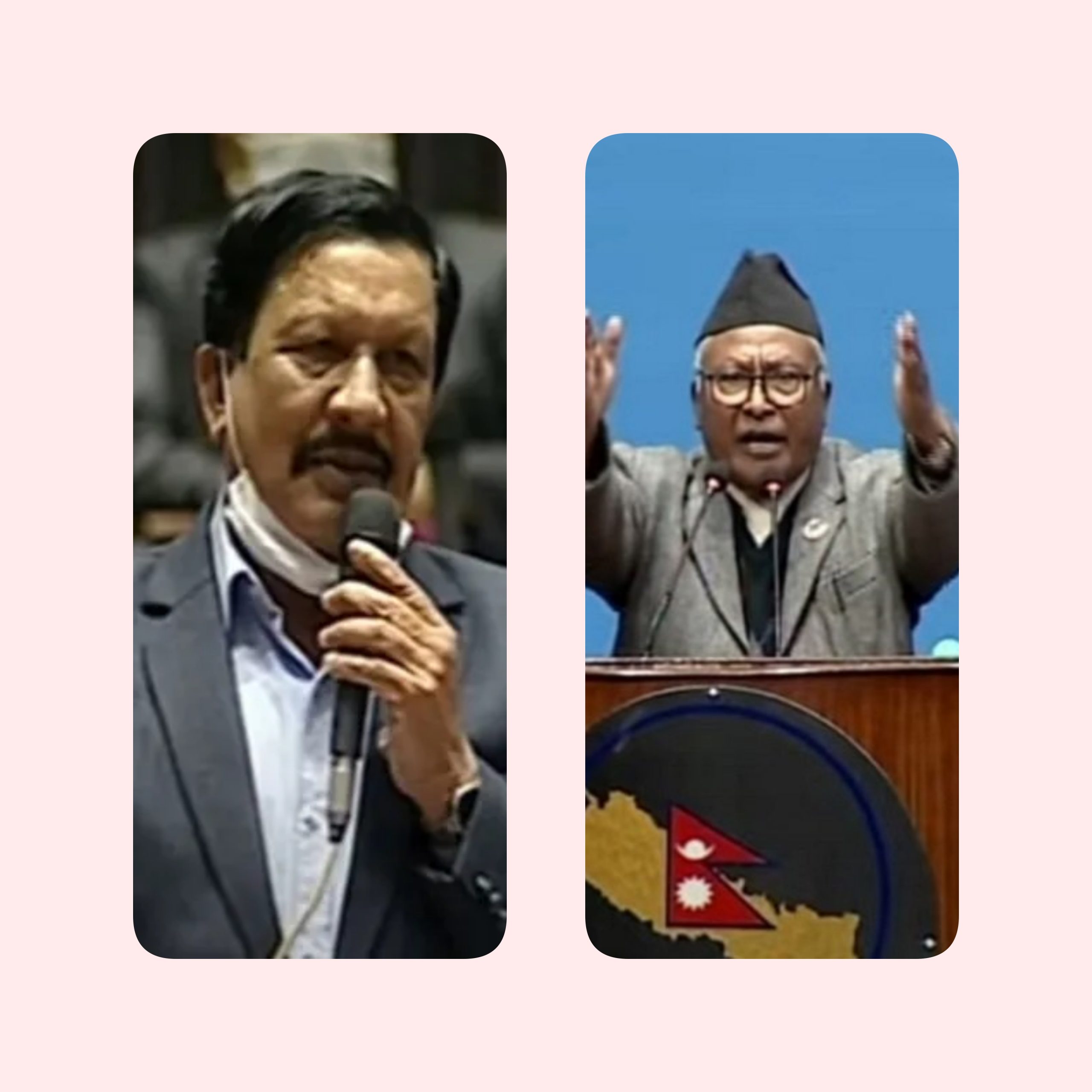 प्रतिनिधि सभाको सार्वजनिक लेखा समितिमा केसी, राज्य व्यवस्था तथा सुशासन समितिमा श्रेष्ठ