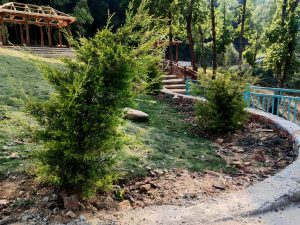 बजेट वक्तव्यः चन्द्रागिरि नगरमा खुला क्षेत्र, हरियाली पार्क र व्यवस्थित पूर्वाधारसहित आवासीय क्षेत्र