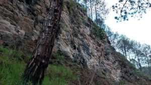 दक्षिणकालीमा भिरबाट खस्दा दुुई जना बालकको मृत्युु