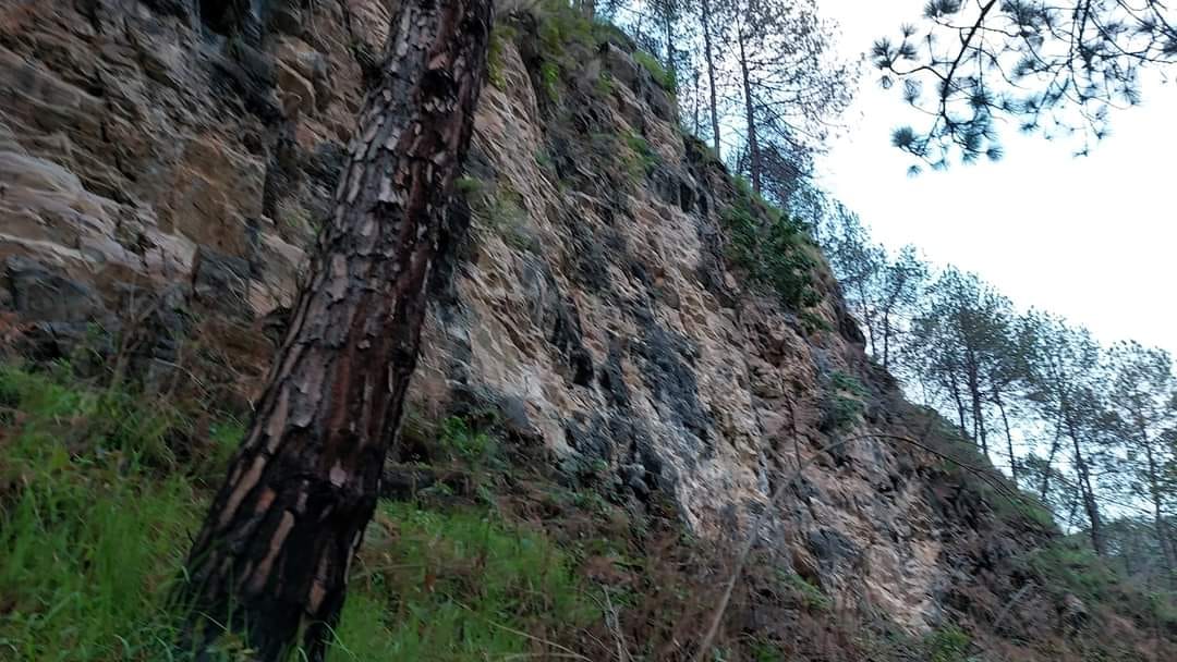 दक्षिणकालीमा भिरबाट खस्दा दुुई जना बालकको मृत्युु