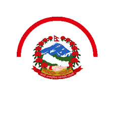 डाउन भएका सरकारी वेभसाइट सुचारू