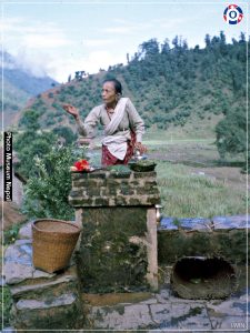 आज निर्जला एकादशी, घरका मठमा तुलसीको दल राखिँदै