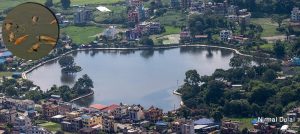 यसकारण भटाभट मर्दैछन् टाैदहमा सलबलाइरहेका माछा
