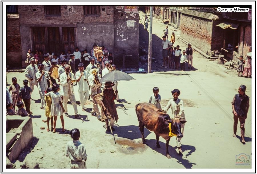 गाईजात्रा पर्व मनाइँदै
