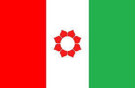 सिके राउतको पार्टी संघीय सरकारमा, मन्त्रालय टुंगो लाग्न बाँकी