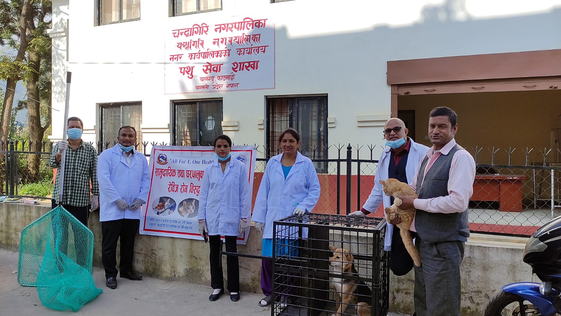 चन्द्रागिरि नगरमा रेबिज रोग नियन्त्रण प्रयास, वडा-वडामा सुरू भयो भ्याक्सिन अभियान