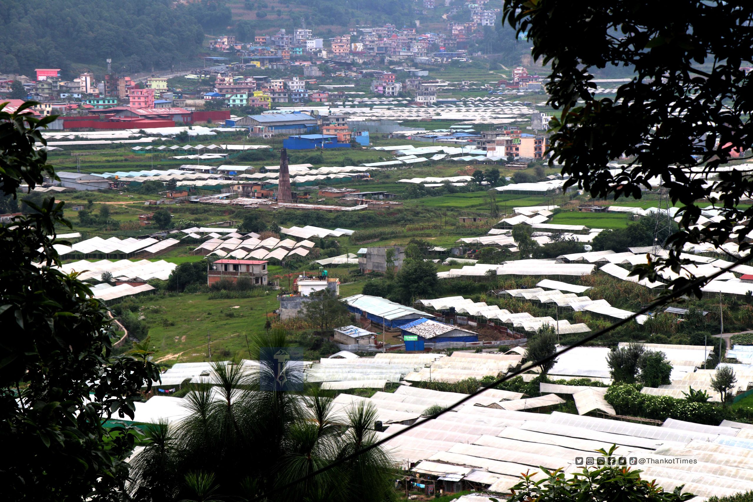 चन्द्रागिरि नगरपालिकाले कृषि प्रयोजनका लागि लिएको ऋणको ब्याज तिरिदिने !