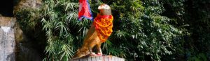 काठमाडाैंको कागेश्वरीमा कागे अष्टमी मेलाको तयारी पूरा