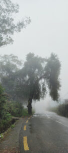 आजदेखि मौसममा सुधार हुँदै जाने, लगातार झरी हुन्न