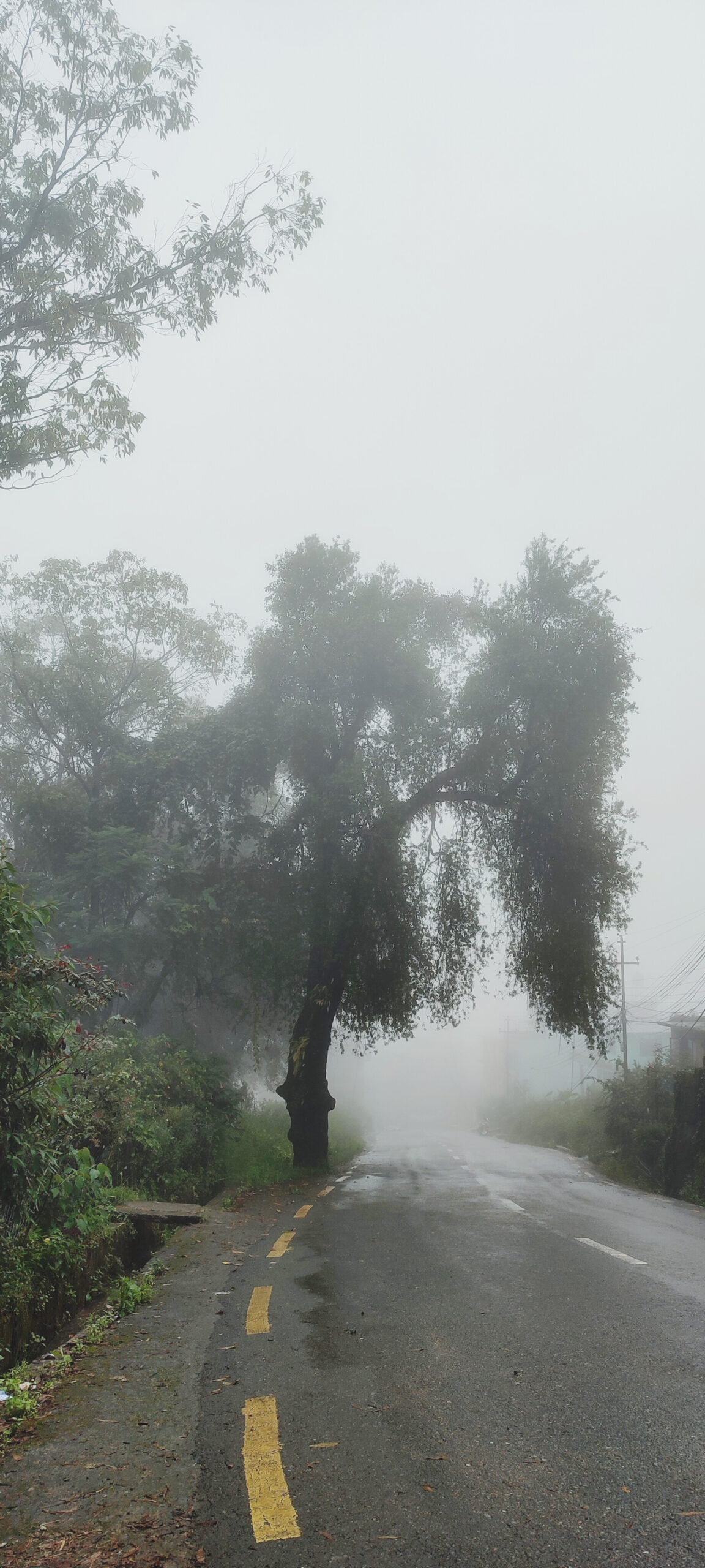 आजदेखि मौसममा सुधार हुँदै जाने, लगातार झरी हुन्न