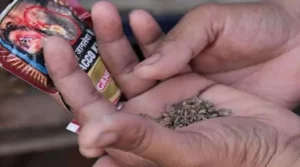 सार्वजनिकस्थल वरिपरि सुर्तीजन्य पदार्थको खुला बिक्री, भएन अनुगमन