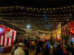 तिहारमा पैंतालिस करोडको झिलिमिली बत्ती आयात