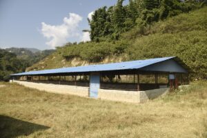 काठमाडौं महानगरका छाडा चाैपाया दक्षिणकालीमा व्यवस्थापन हुने, चन्द्रागिरिका कहाँ ?