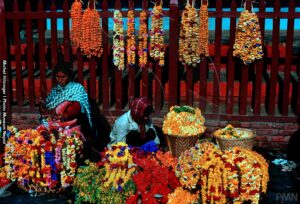 तिहारका लागि फूलमाला बिक्री गर्न काठमाडाैं महानगरले चार स्थान तोक्यो