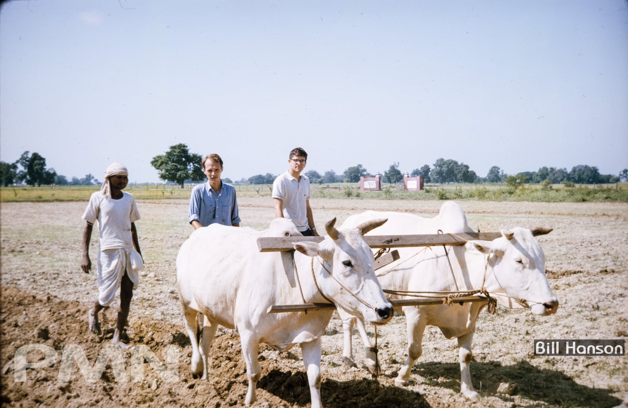 विश्व माटो दिवस मनाइँदै