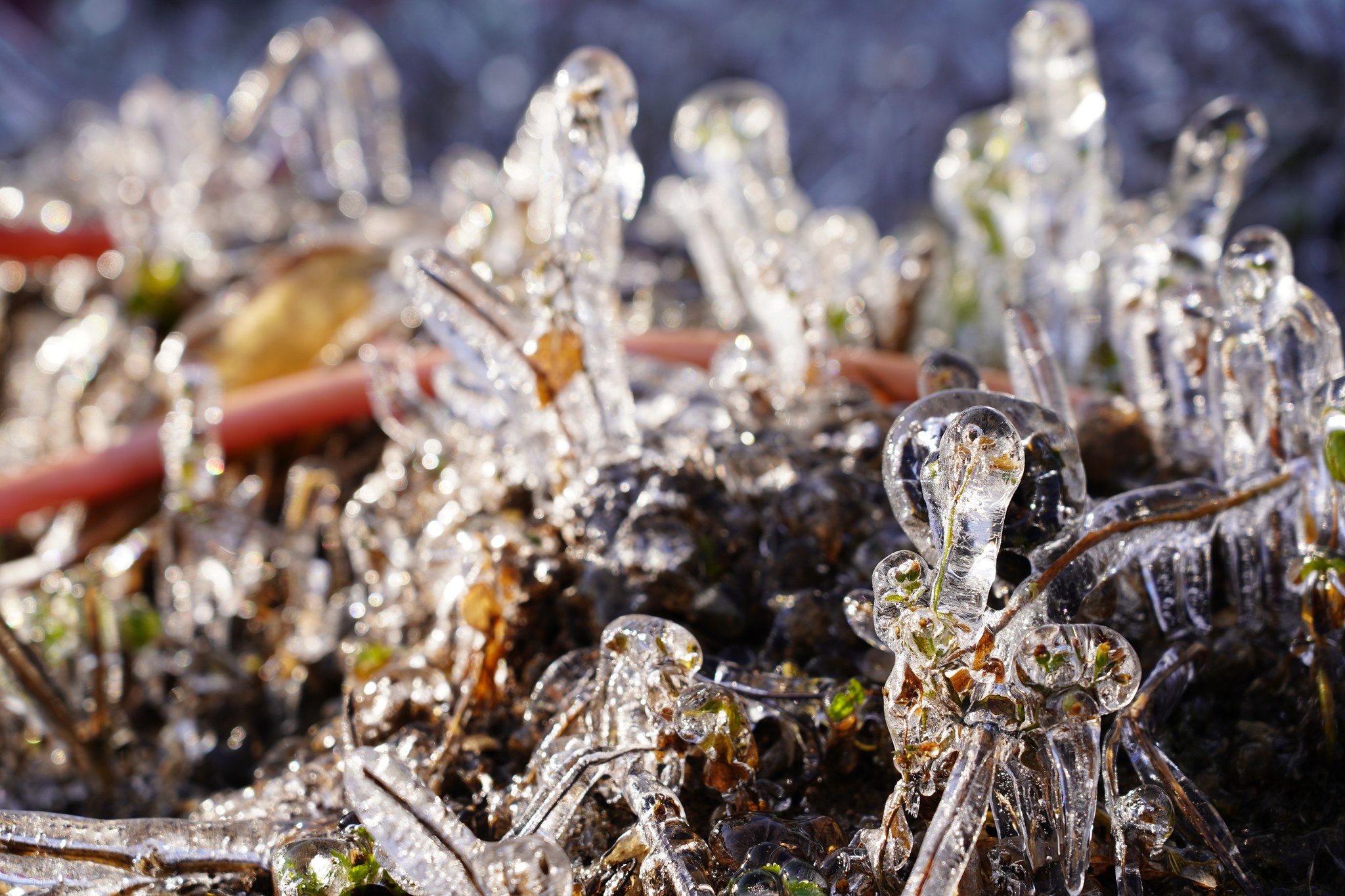 चन्द्रागिरिमा चिसो बढ्यो, तापक्रम घट्यो, आज बिहान न्यूनतम तापक्रम ७.८ डिग्री सेल्सियस