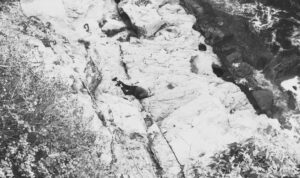 चोभार पुलमुनि एक पुरुष मृत फेला, टाउको र हातमा गहिरो चोट