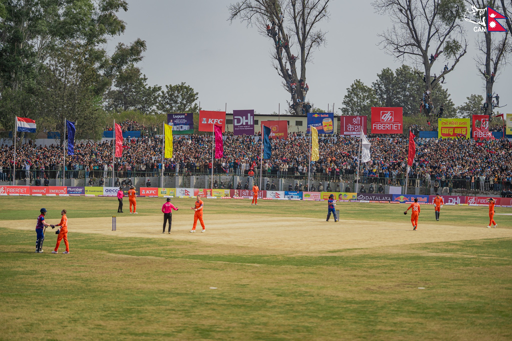 त्रिदेशीय टी-२० क्रिकेट सिरिजः लगातार दोश्रो जितसँगै नेपाल फाइनल नजिक