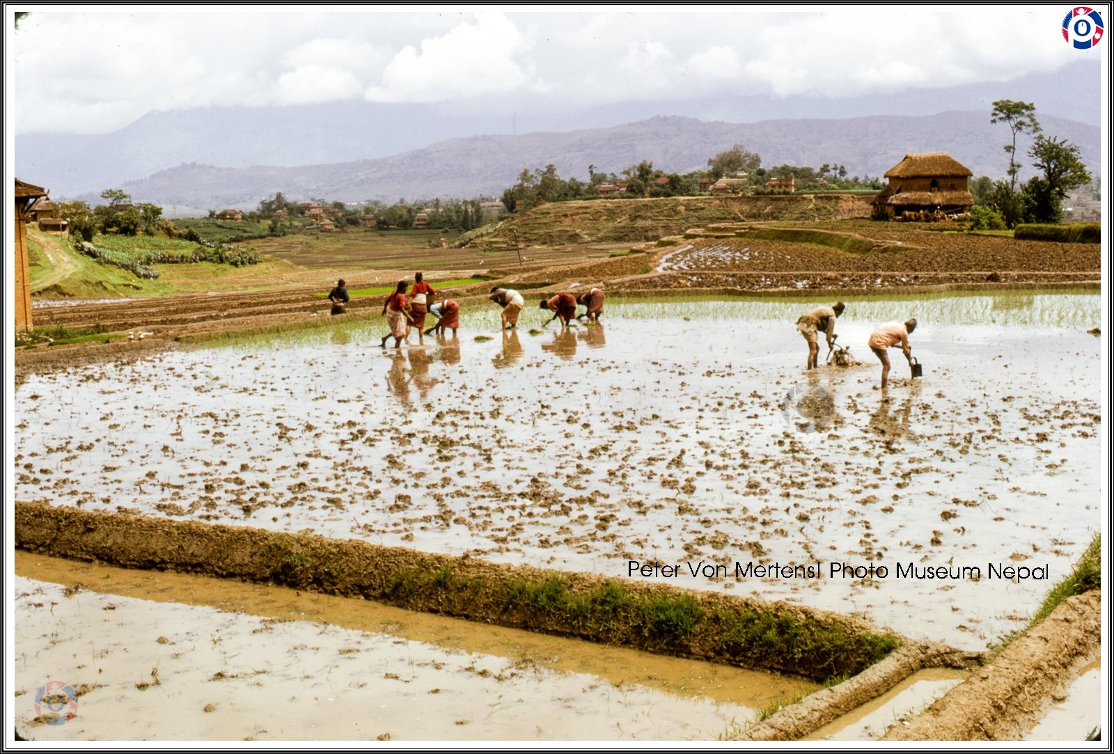 टाैदहमा २२औं राष्ट्रिय धान दिवस मनाइँदै