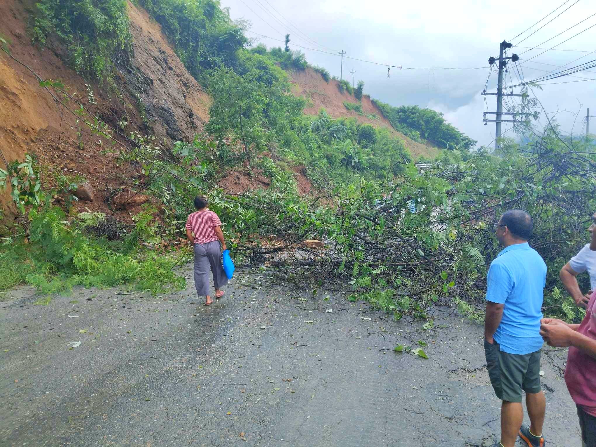 पातलेवनको पहिरोस्थलमा सडक एकतर्फी सुचारु, गल्छीमा पहिरो खस्दा सडक अवरुद्ध सञ्चालनमा