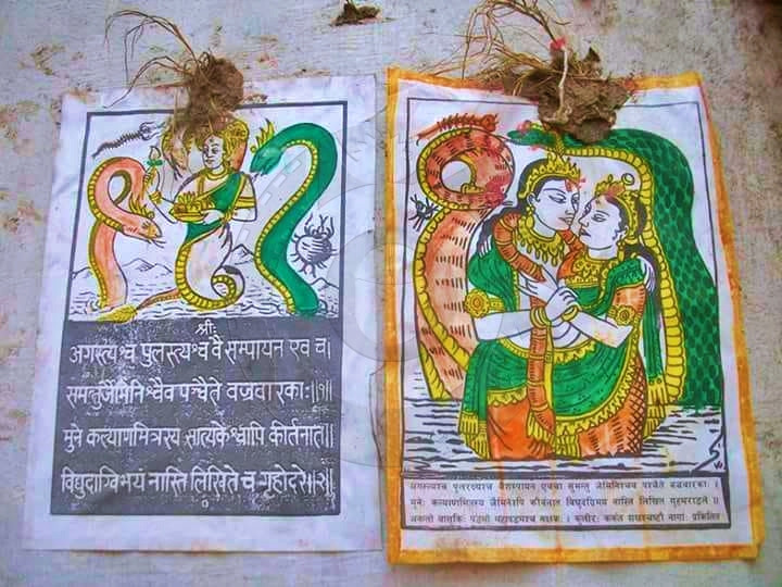 आज नागपञ्चमी, वर्षायाम समाप्त भएर हिउँद सुरु हुने दिन